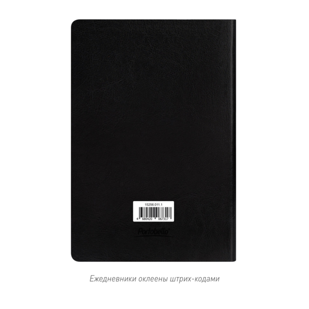 Ежедневник Ривер Сайд (River side) недатированный, черный (без упаковки, без стикера) (Изображение 7)
