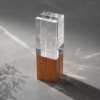 Награда «Wood and glass» (Изображение 1)
