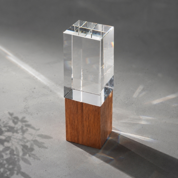 Награда «Wood and glass» (Изображение 1)