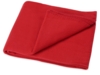 Плед в рюкзаке Кемпинг (красный)  (Изображение 2)