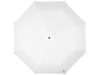 Зонт складной Traveler (белый)  (Изображение 2)