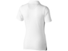 Рубашка поло Markham женская (белый/антрацит) S (Изображение 2)