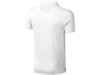 Рубашка поло Markham мужская (белый/антрацит) XS (Изображение 2)
