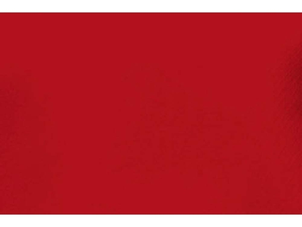 Толстовка Arora мужская с капюшоном (красный) 3XL
