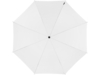 Зонт-трость Arch (белый)  (Изображение 2)