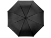 Зонт-трость Яркость (черный)  (Изображение 4)