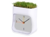 Часы настольные Grass (белый)  (Изображение 1)