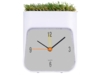 Часы настольные Grass (белый)  (Изображение 2)