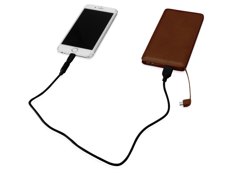 Внешний аккумулятор Стор, 10000 mAh (коричневый)  (Изображение 3)