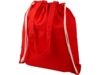 Сумка-рюкзак Eliza, 240 г/м2 (красный)  (Изображение 4)