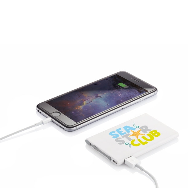 Зарядное устройство, 2500 mAh (Изображение 8)