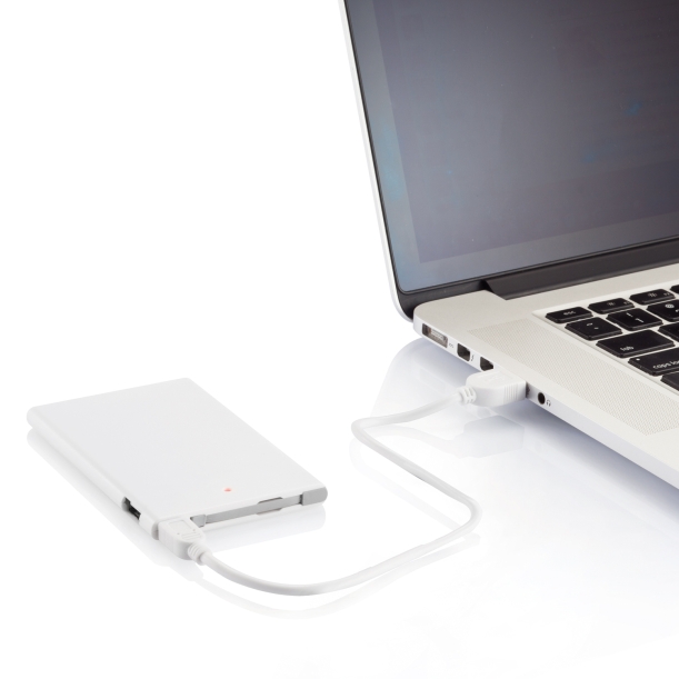 Зарядное устройство, 2500 mAh (Изображение 9)