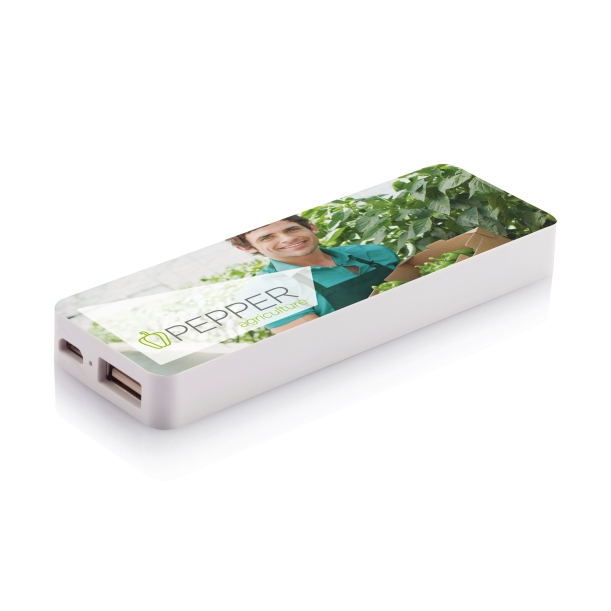 Зарядное устройство, 2500 mAh (Изображение 3)