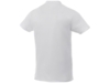 Рубашка поло Liberty мужская (белый) 3XL (Изображение 2)