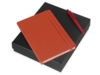 Подарочный набор Vision Pro soft-touch с ручкой и блокнотом А5 (оранжевый)  (Изображение 1)