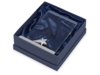 Награда Whirlpool, стекло, металл, в подарочной упаковке (Изображение 3)