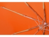 Зонт складной Tempe (оранжевый)  (Изображение 7)