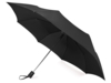 Зонт складной Irvine (черный)  (Изображение 1)