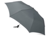 Зонт складной Irvine (серый)  (Изображение 2)
