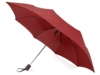 Зонт складной Irvine (бордовый)  (Изображение 1)