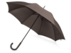 Зонт-трость Wind (коричневый)  (Изображение 1)