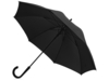Зонт-трость Bergen (черный)  (Изображение 1)