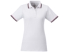 Рубашка поло Fairfield женская (белый) 2XL (Изображение 2)