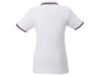 Рубашка поло Fairfield женская (белый) 2XL (Изображение 3)