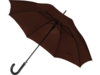 Зонт-трость Алтуна (коричневый)  (Изображение 4)