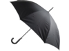 Зонт-трость Алтуна (черный)  (Изображение 1)