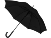Зонт-трость Алтуна (черный)  (Изображение 4)