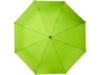 Складной зонт Bo (лайм)  (Изображение 2)