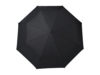Складной зонт Hamilton Black (Изображение 1)