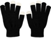 Перчатки для сенсорного экрана Billy (черный)  (Изображение 2)