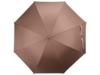 Зонт-трость Ривер, механический 23, коричневый (Р) (Изображение 6)