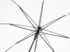 Зонт-трость Alina (белый)  (Изображение 3)