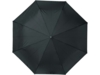 Зонт-трость Alina (черный)  (Изображение 2)