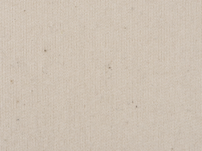 Толстовка с капюшоном Pure из неокрашенного хлопка, мужская (натуральный) S (Изображение 8)