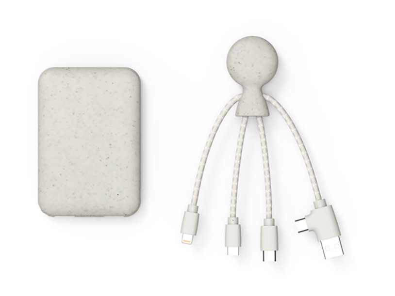 Внешний аккумулятор BioPack c кабелем Mr. Bio, 5000 mAh (Изображение 1)