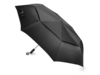 Зонт складной Canopy с большим двойным куполом (d126 см) (черный)  (Изображение 1)