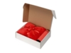 Подарочный набор Cozy hygge с пледом и термосом (красный/красный)  (Изображение 2)
