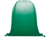 Рюкзак Oriole с плавным переходом цветов (зеленый)  (Изображение 2)