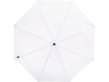 Зонт складной Birgit (белый)  (Изображение 2)