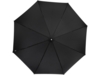 Зонт-трость Pasadena (черный/серебристый)  (Изображение 2)