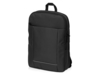 Рюкзак Dandy для ноутбука 15.6'' (черный)  (Изображение 1)