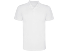 Рубашка поло Monzha мужская (белый) 3XL