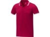 Рубашка поло Amarago мужская (красный) 3XL (Изображение 1)