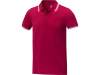 Рубашка поло Amarago мужская (красный) 2XL (Изображение 1)
