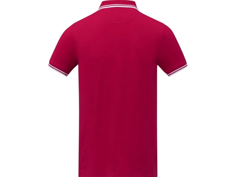 Рубашка поло Amarago мужская (красный) 2XL (Изображение 3)
