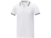 Рубашка поло Amarago мужская (белый) 3XL (Изображение 1)